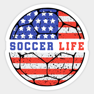 Usa Soccer Retro Sticker